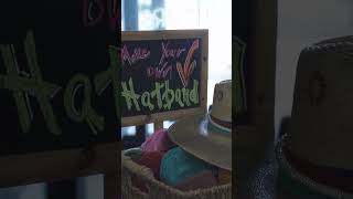 iBuy App Merchant Video Profile - YaYa Gurlz - Abilene Tx