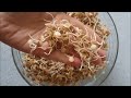 how to sprout lentils cheap easy and quick method