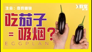 [ K教室 ] [ 生命 ：奇异植物 ] [ 吃茄子=抽烟 ? ] [ S3 . EP13 ]