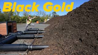 Beyond The Bin - Composting
