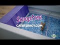 catspiracy the petsafe scoopfree litter box