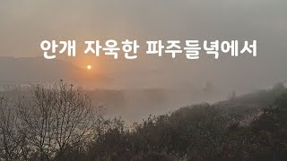 안개 자욱한 파주들녁에서