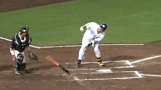 杉本選手死球💢両軍一触即発の伏線（７月９日ロッテ戦）