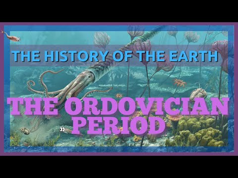 What first appeared during the Ordovician?