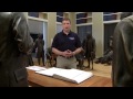 Constitution Hall Pass: The Presidency