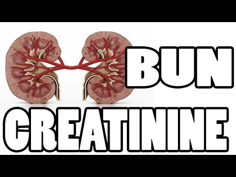 ✔✔✔ What is BUN and Creatinine - Kidney Function Test ✔✔✔ ✔✔✔ What is BUN and Creatinine - Kidney Function Test ✔✔✔