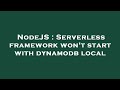 NodeJS : Serverless framework won't start with dynamodb local