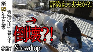 雪が降った　#127 山暮らし / 田舎暮らし / 開拓 / 古民家再生 / DIY