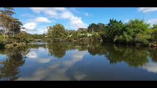 📍Lake Panorama, Auckland, New Zealand 🇳🇿 #fyp #foryou #newzealand