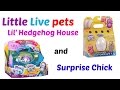 Little live pets Surprise hatching chick and Lil' Hedgehog and House.