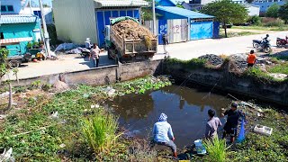 Wonderful Action!! Bulldozer \u0026 Truck 5T Dropping Siol Into Water Remove Trash And Delete Deep pond