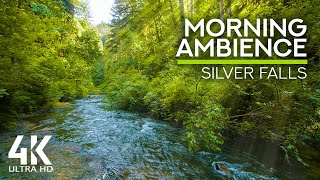 10 HOURS Morning Bird Songs and River Sounds for the Best Start of the Day - Morning River 4K UHD