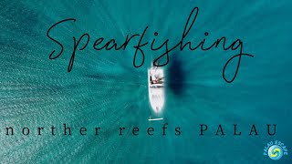 Spearfishing Northern Reefs - Palau Escape