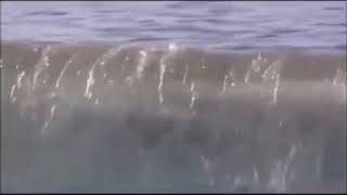 Arrested development clip - loose seal