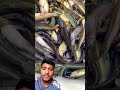 দেশী মাছ fishing fish fishingtips satisfying foryou viralvideo viralshorts