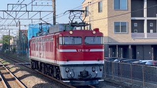 EF81型95号機(クゴ) 宇都宮配給 送込単機回送 単8935レ 通過 in石橋駅(栃木県) 2023.5.10 #ef81