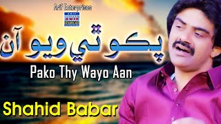 Pako Thi Wayo Aa  | Shahid Ali Babar | Official Music Video | Arif Enterprises Official