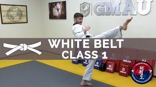 Taekwondo Follow Along Class - White Belt - Class #1