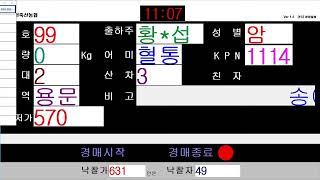 예천축산농협 09월 03일 경매가축시장