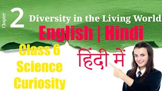 Chapter 2 - Diversity in the Living World (Hindi Explained) | Class 6 Science NCERT - Curiosity