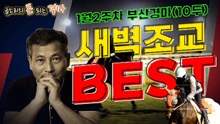 [부산경마] 어려운 부산경마!! 1월2주차 경마주간!! 출마표 뜨기전 미리미리 준비하자!!(상태좋은 인기마부터 변화 뚜렷한 복병마까지)#굽소리경마#새벽조교우수마#부산경마