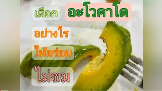 วิธีเลือกอะโวคาโดพันธุ์034 ทานแล้วอร่อย ไม่ขม #อะโวคาโด #วิธีเลือกอะโวคาโด #Avocado #อะโวคาโด034