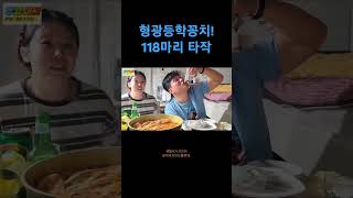 형광등학꽁치!118마리 타작   #shorts#학꽁치#학꽁치묵은지찜#학꽁치회