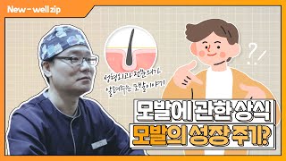 모발의 성장주기?!