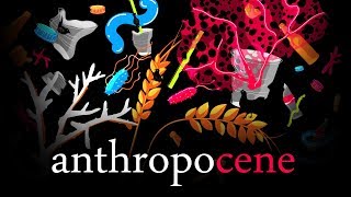 Anthropocene -  The great party