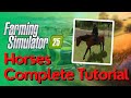 Horses Complete Guide | Farming Simulator 25