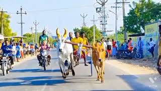 P விஜய்குமார் மெடிக்கல்சண்முகபுரம்