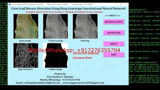 Python Code On Corn Leaf Disease Detection Using Neural Network CNN | Corn Leaf Disease Analysis
