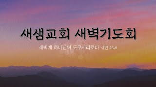 [새벽기도회] 사무엘상 강해 - 조종건 목사 250225