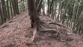 山頂４３　西上州　雨宮山山頂の尾根