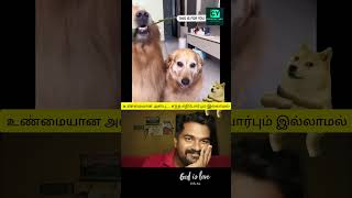 நான் நாயாக இல்லையே 💕💕 #hoomans #dogcomedyvideo #instatrending #creatoryash #bigbang