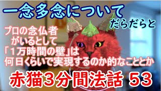 赤猫3分間法話 53 一念多念についてだらだらと