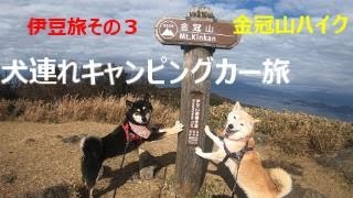 犬連れキャンピングカー旅　伊豆金冠山ハイク