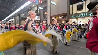 2024よさこい祭り 後夜祭 ほにや