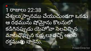 యెహోవా సెలవిచ్చిన మాటచొప్పున కుక్కలు వచ్చి అతని రక్తమును నాకెను.