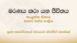 සං‍යුත්ත නිකාය සගාථ වග්ග පාලිය මරණය කරා යන ජීවිතය - පූජ්‍ය තපෝවනයේ අරියධජ ස්වාමීන් වහන්සේ