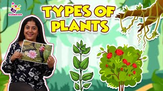 Types Of Plants | Plants Around Us | Herbs | Shrubs | Trees | Nursery Rhymes | Learning Box