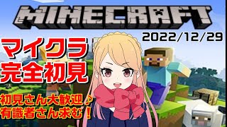 【完全初見マインクラフト】初見さん歓迎♪＆有識者さん求む！初めてのMINECRAFT【統合版】