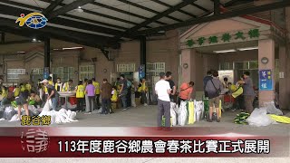 20240514 南投縣議會 民議新聞 113年度鹿谷鄉農會春茶比賽正式展開