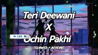 Teri Deewani X Ochin Pakhi - Lofi [ Slowed  + Reverb ] | Lofi Songs World Official