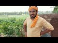 ਸ਼ਰਾਬੀ ਤਾਇਆ ਲੁੱਚਾ ਸੀਰੀ ।। latest new punjabi funny video ।। full comedy video ।। vcr wale jatt