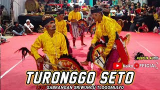 SPECIAL PERFORM JARAN KEPANG KLASIK TURONGGO SETO SABRANGAN || LIVE SABRANGAN SRIWUNGU TLOGOMULYO