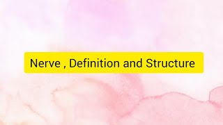 45. Nerve , Definition , Structure || Physiology