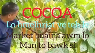 Cocoa hi kan hlawhtlin pui thei ngei ang.