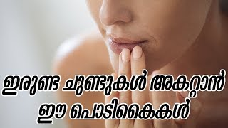 ഇരുണ്ട ചുണ്ടുകൾ അകറ്റാൻ ഈ പൊടികൈകൾHealthy kerala | Health tips | Lip care | Skin care | Health