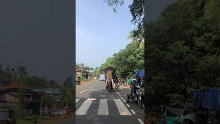 ഇമ്മടെ ചെക്കന്റെ കൊമ്പു കണ്ടോ